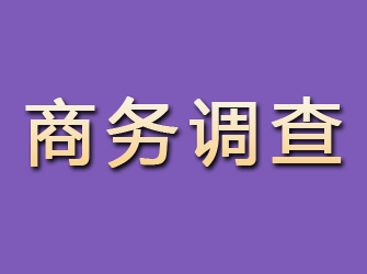 沂源商务调查